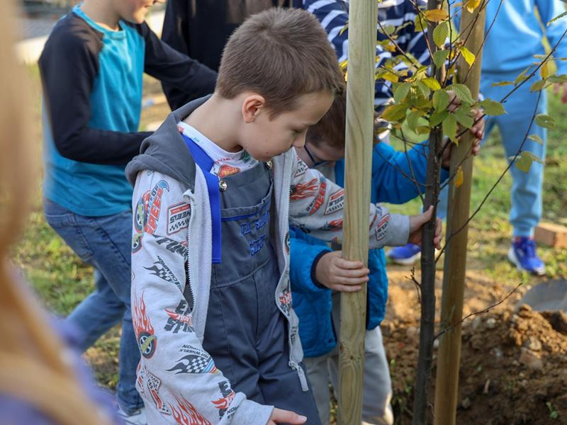 Samobor nastavlja sa sadnjom stabala