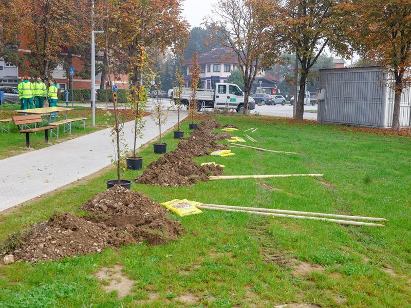 Samobor nastavlja sa sadnjom stabala