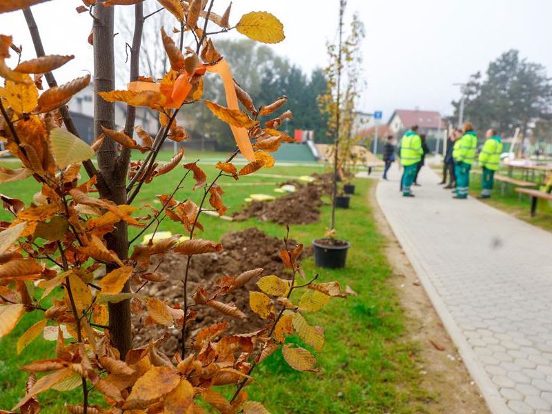 Samobor nastavlja sa sadnjom stabala