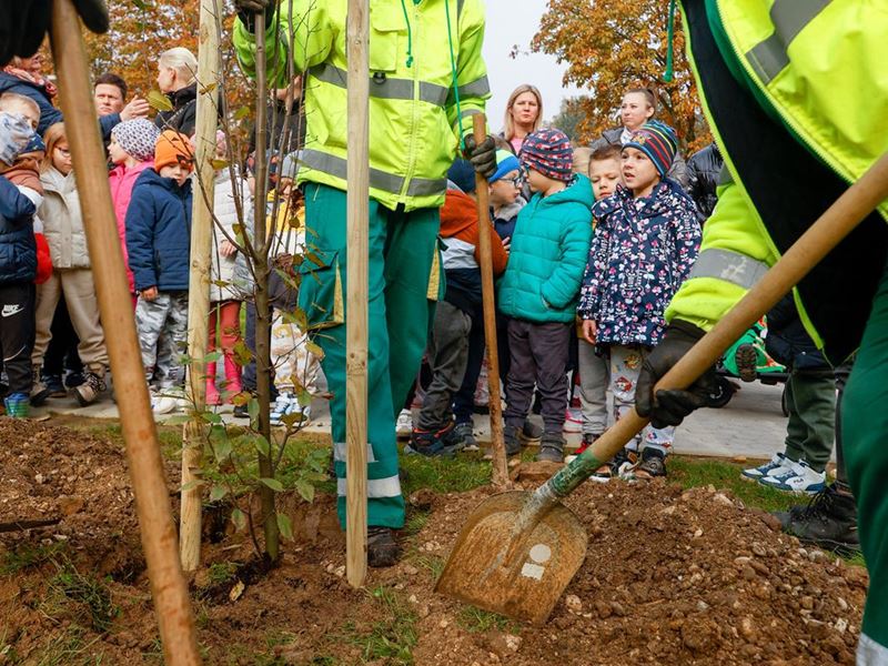 Samobor nastavlja sa sadnjom stabala
