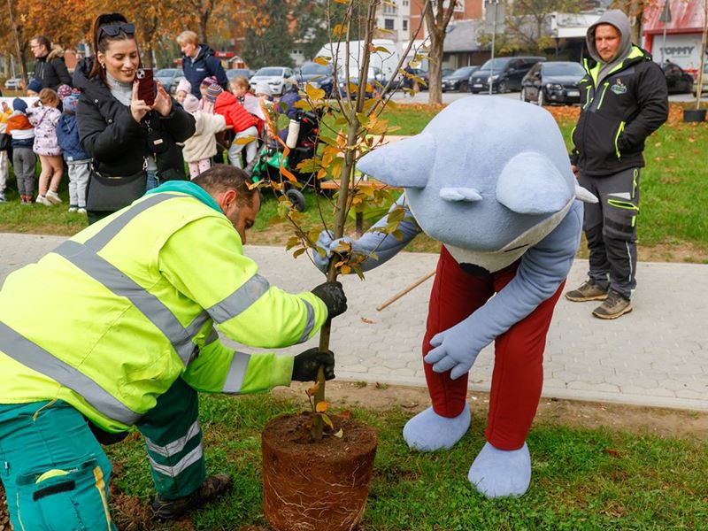 Samobor nastavlja sa sadnjom stabala