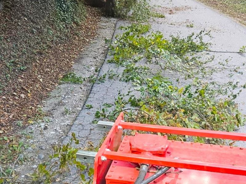 Orezivanje granja uz ceste