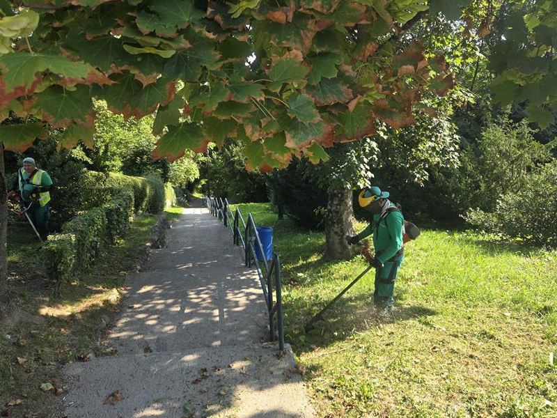 Ljetni radovi na zelenim površinama