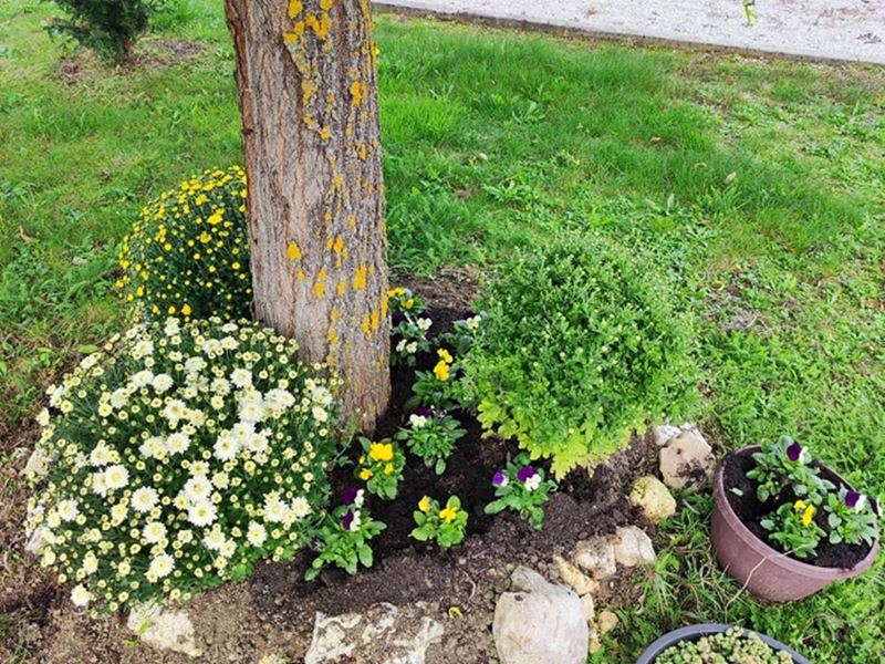 Sadnja stabala, ukrasnog grmlja i proljetnica