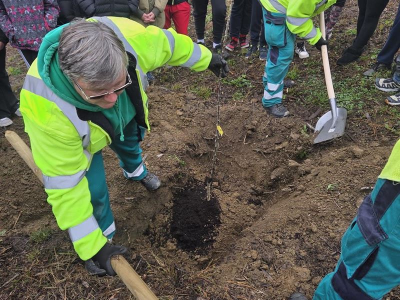 Jesenska sadnja s učenicima