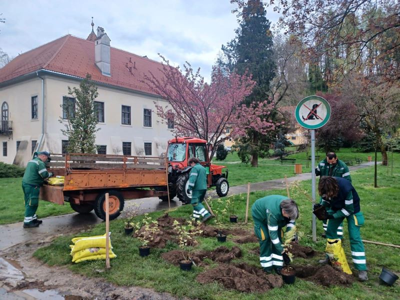 Sadnja za Dan planeta Zemlje